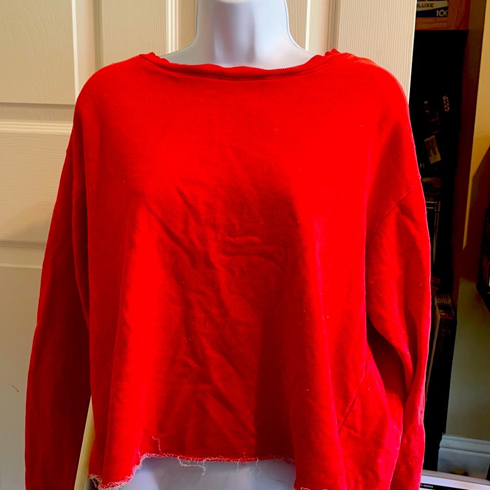Cropped sweatshirt ~ only worn once ~ bought from boutique.